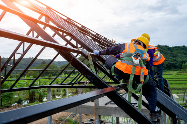 Best Storm Damage Roof Repair  in Clay City, IN